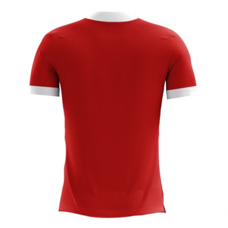 2023-2024 Peru Away Concept Football Shirt