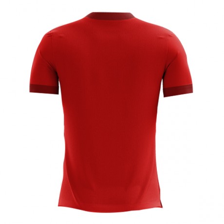 2025-2026 Egypt Home Concept Football Shirt - Little Boys