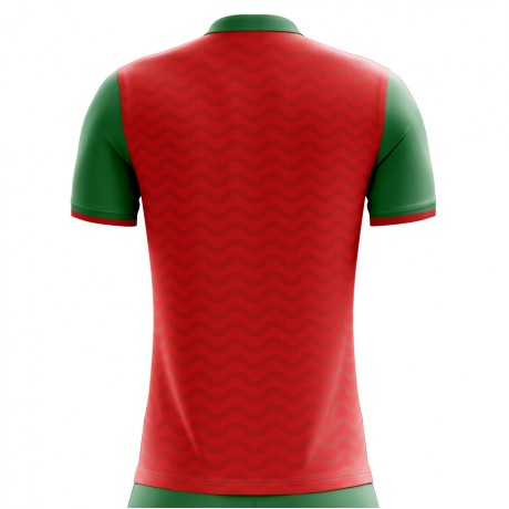 2023-2024 Morocco Home Concept Football Shirt