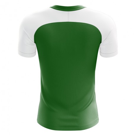 2023-2024 Nigeria Home Concept Football Shirt