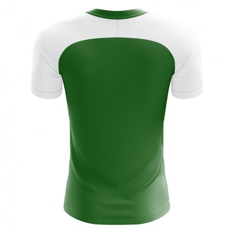 2023-2024 Nigeria Home Concept Football Shirt - Kids (Long Sleeve)