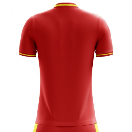 2023-2024 Spain Flag Home Concept Football Shirt - Little Boys