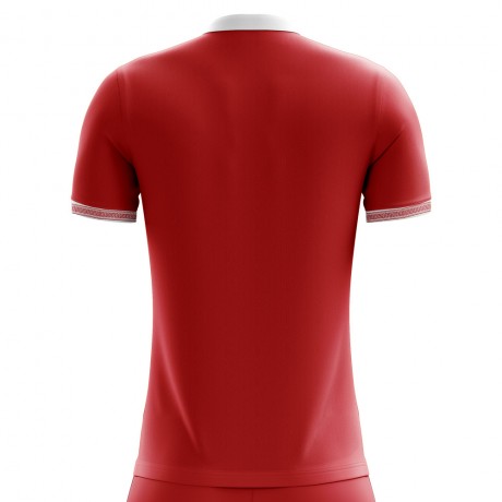 2023-2024 Tunisia Away Concept Football Shirt