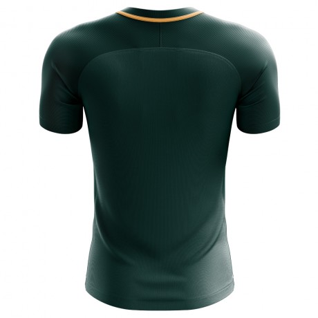 2023-2024 Nigeria Third Concept Football Shirt