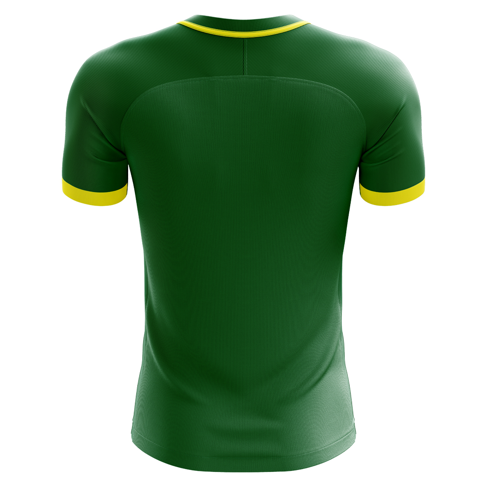 20232024 Cameroon Home Concept Football Shirt