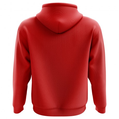 2023-2024 Denmark Home Concept Hoody (Kids)