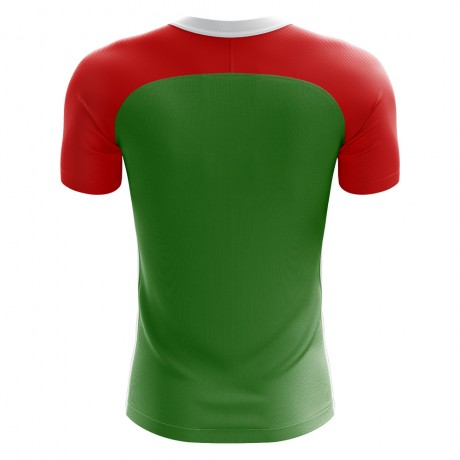 2023-2024 Abkhazia Home Concept Football Shirt - Kids (Long Sleeve)