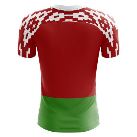 2023-2024 Belarus Home Concept Football Shirt - Adult Long Sleeve