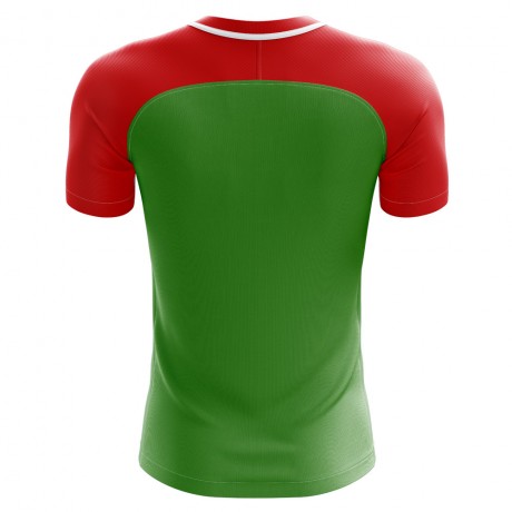 2023-2024 Chechnya Home Concept Football Shirt - Kids