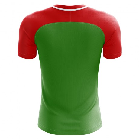 2023-2024 Chechnya Home Concept Football Shirt - Womens