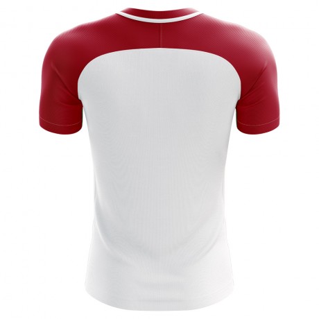 2023-2024 Greenland Home Concept Football Shirt - Adult Long Sleeve