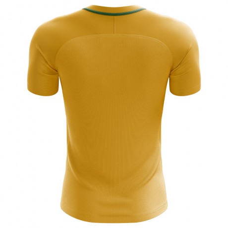 2023-2024 Lithuania Home Concept Football Shirt