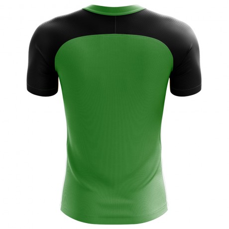 2023-2024 Tanzania Home Concept Football Shirt - Baby