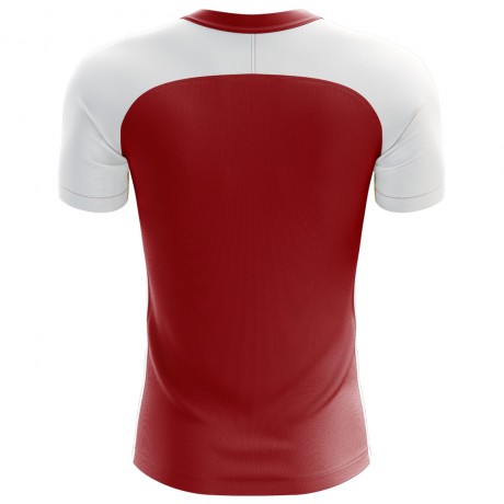 2023-2024 Tonga Home Concept Football Shirt