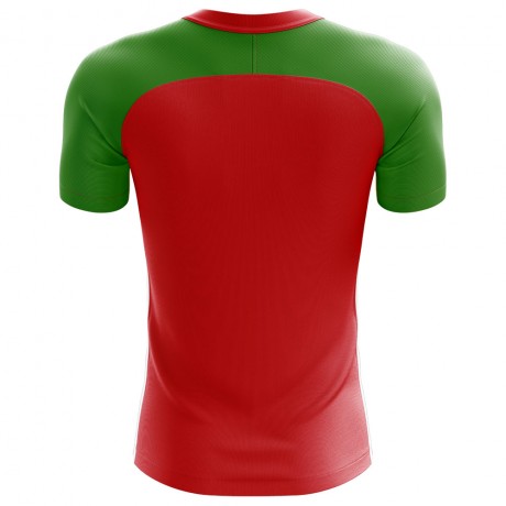 2023-2024 Transnistria Home Concept Football Shirt