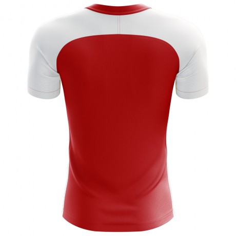 2023-2024 Tunisia Flag Concept Football Shirt