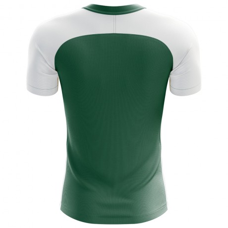 2023-2024 Turkmenistan Home Concept Football Shirt - Adult Long Sleeve