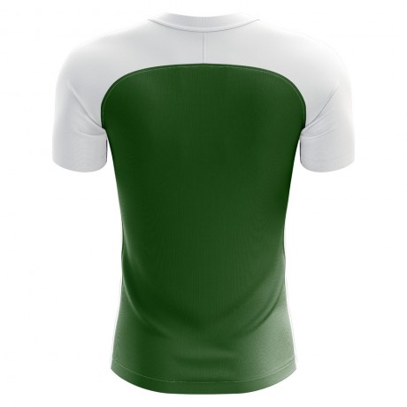 2023-2024 Pakistan Home Concept Football Shirt