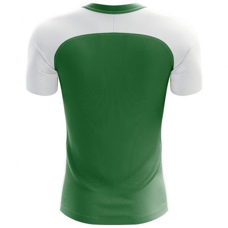 2023-2024 Nigeria Flag Home Concept Football Shirt - Womens