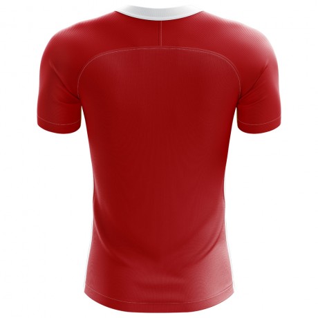 2023-2024 Denmark Flag Concept Football Shirt - Adult Long Sleeve