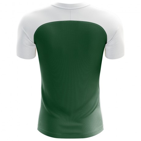 2024-2025 Mexico Flag Concept Football Shirt - Little Boys