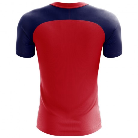 2023-2024 Norway Flag Concept Football Shirt - Womens