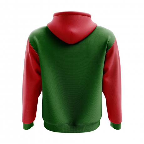 Abkhazia Concept Country Football Hoody (Green)