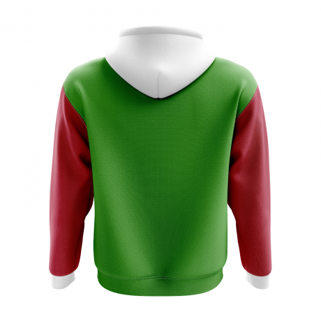 Wales Concept Country Football Hoody (Green)
