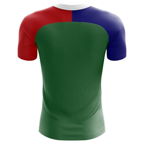 2025-2026 South Africa Home Concept Football Shirt - Adult Long Sleeve