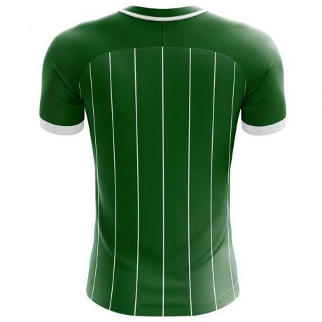 2023-2024 Northern Ireland Home Concept Football Shirt - Adult Long Sleeve