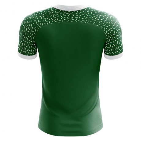 2023-2024 Chapecoense Home Concept Football Shirt - Adult Long Sleeve