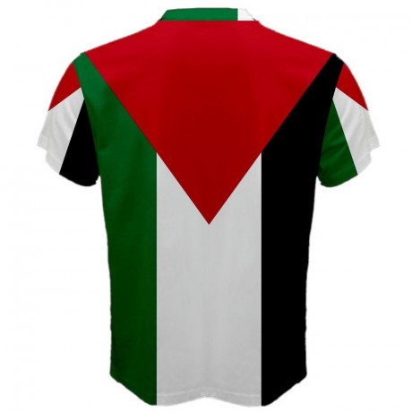 Palestine Flag Sublimated Sports Jersey - Kids