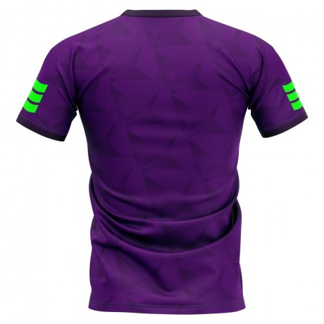 2025-2026 Sanfrecce Hiroshima Home Concept Football Shirt - Adult Long Sleeve