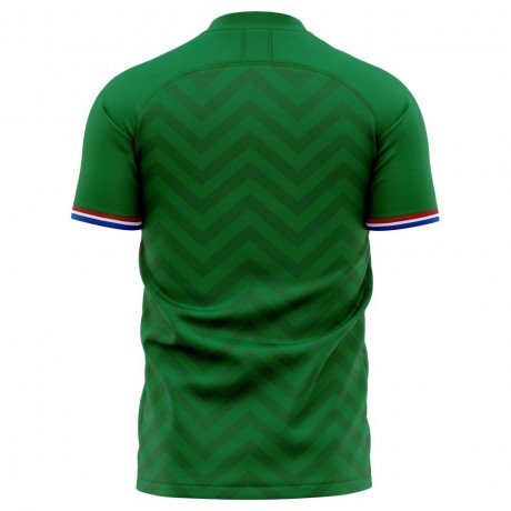 2023-2024 Saint Etienne Home Concept Football Shirt - Womens