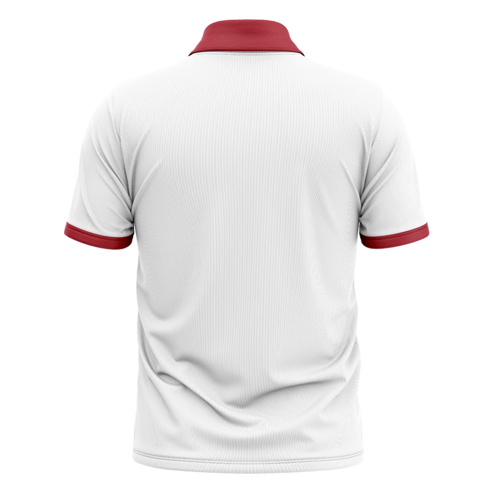 20242025 England Cricket Concept Shirt Kids (Long Sleeve)