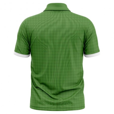 2023-2024 Ireland Cricket Concept Shirt - Adult Long Sleeve