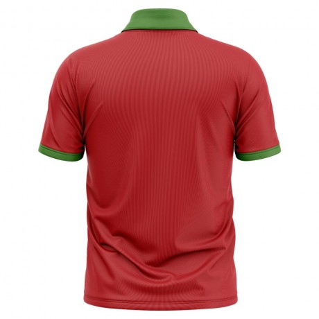 2023-2024 Zimbabwe Cricket Concept Shirt