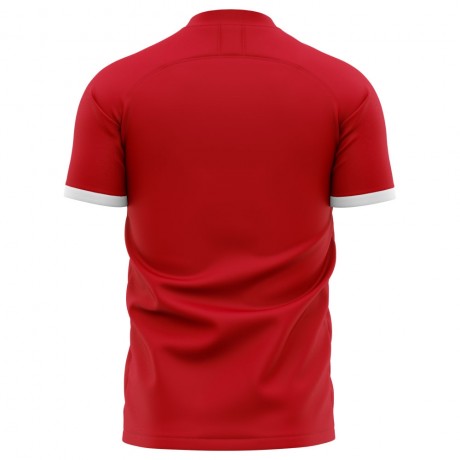 2023-2024 Az Alkmaar Home Concept Football Shirt - Adult Long Sleeve