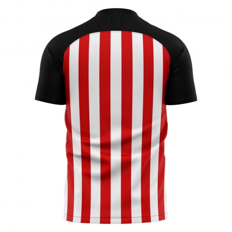 2025-2026 Sunderland Home Concept Football Shirt (Cattermole 6)