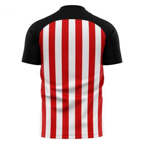 2023-2024 Sunderland Home Concept Football Shirt (Wyke 9)