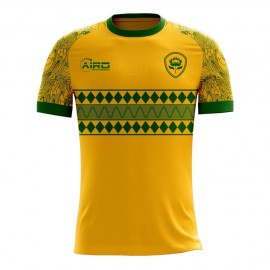 South Africa 2023-2024 Home Concept Football Kit (Airo)